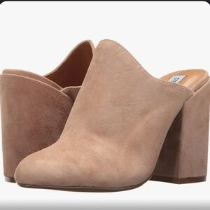 Steve Madden Sinclaire Clog/Mule